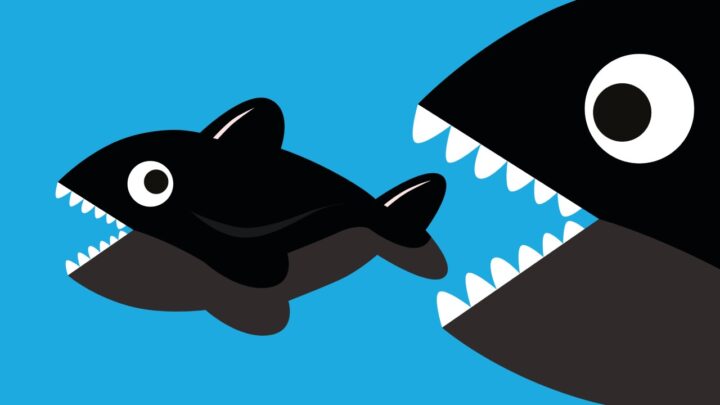 Cartoon of a big fish about to eat a smaller one